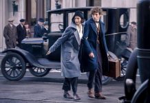 animale-fantastice-si-unde-le-poti-gasi box office