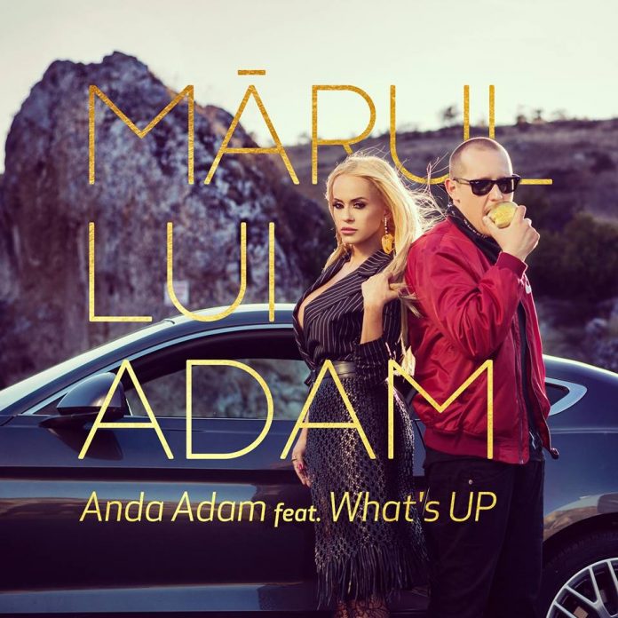 anda adam & what's up