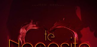 Artwork - Te Necesito new
